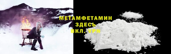 PSILOCYBIN Бородино