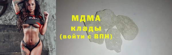 PSILOCYBIN Бородино