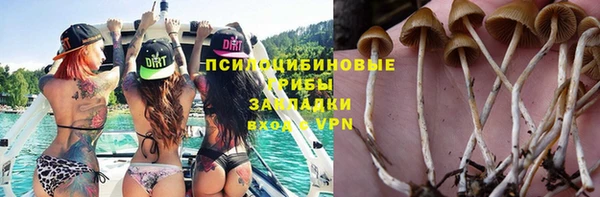 скорость Бронницы
