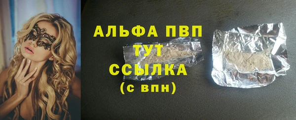 PSILOCYBIN Бородино