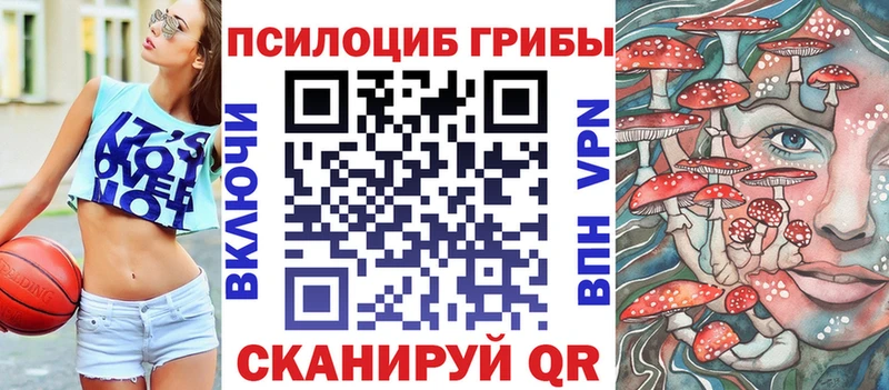 где купить наркотик  Кондрово  Псилоцибиновые грибы Magic Shrooms 