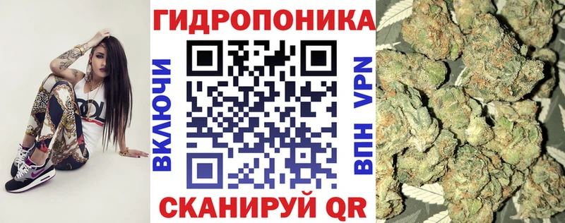 закладки  Кондрово  Бошки марихуана марихуана 